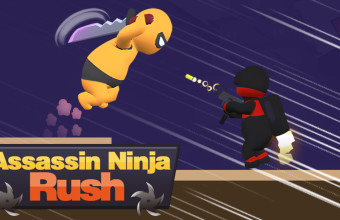 Assassin Ninja Rush